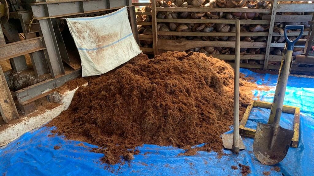 COMPRENDRE LE COCOPEAT ET SON RÔLE DANS L’ÉCONOMIE BLEUE ET VERTE