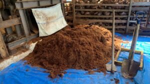 COMPRENDRE LE COCOPEAT ET SON RÔLE DANS L’ÉCONOMIE BLEUE ET VERTE