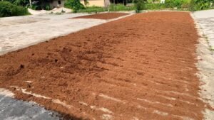 Understanding Cocopeat as a Growing Medium in the Blue-Green Economy